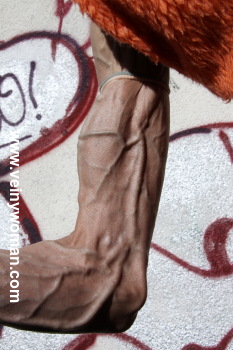 bild1