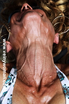 bild2