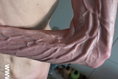 bild11