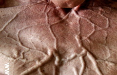 bild7